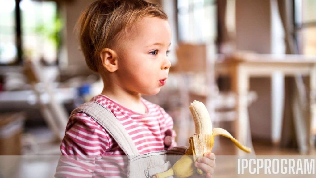 The Science Behind Blending Bananas: How It Affects Nutritional Value