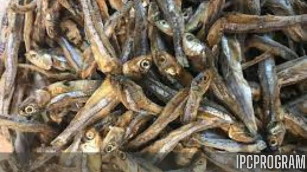 Sprats: The Nutritional Powerhouse You Should Know About