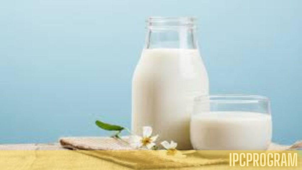 The Role Of Nido Milk In Adult Diets: Health Considerations