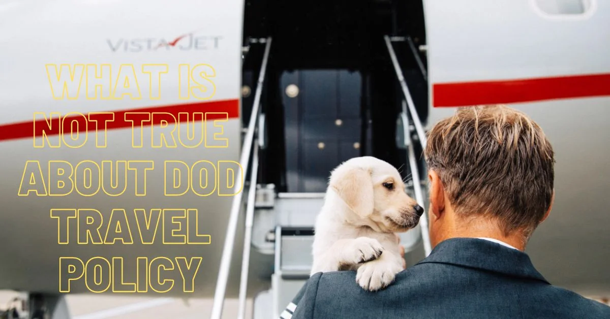 What Is Not True About DoD Travel Policy