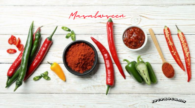 Spice Up Your Life With Masalwseen!